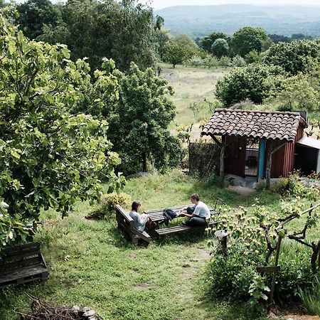 Torre Tanquian Eco Finca - Ribeira Sacra Pantón Exteriör bild