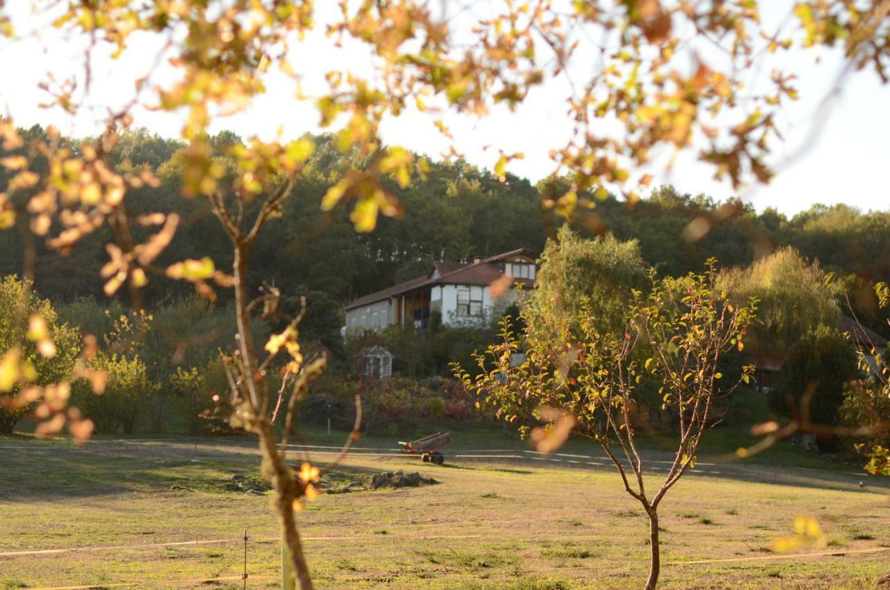 Torre Tanquian Eco Finca - Ribeira Sacra Pantón Exteriör bild